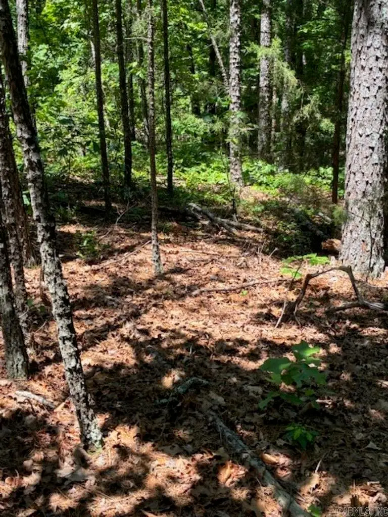 Castano (lot 12) Lane, Hot Springs Village, AR 71909 - #3