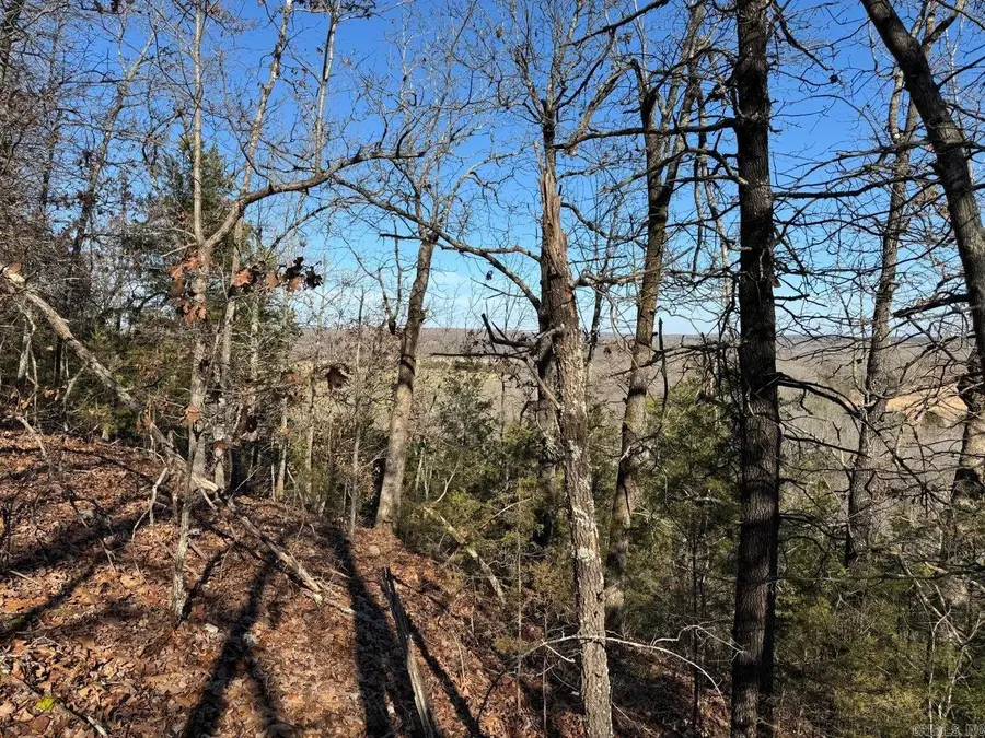 60 A Tablerock Road, Evening Shade, AR 72532 - Image #3