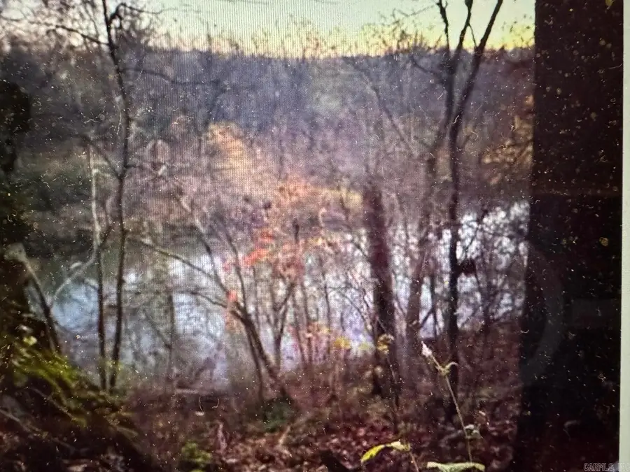 60 B Tablerock Road, Evening Shade, AR 72532 - Image #2