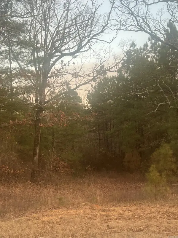 TBD 128 Highway, Bismarck, AR 71929