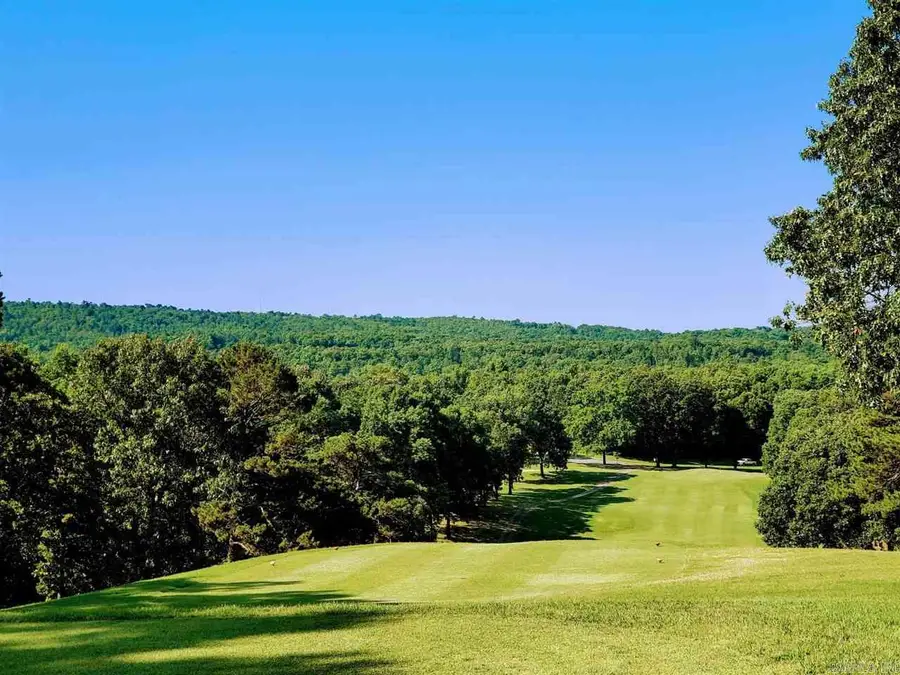 lot 2993 Ivy Hill Court, Hot Springs, AR 71913 - Image #3