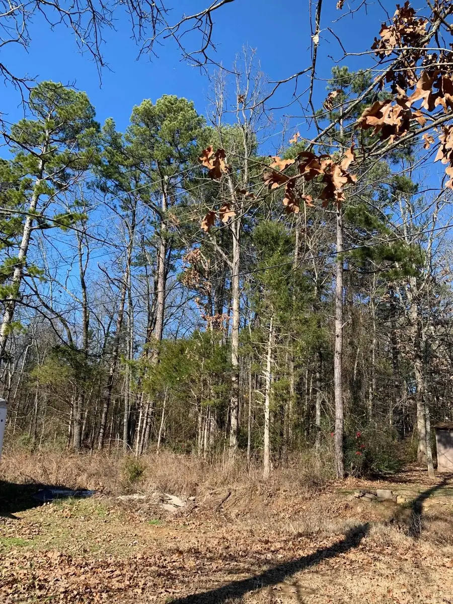 Lot 4 Thelma Street, Heber Springs, AR 72543 - Image #2