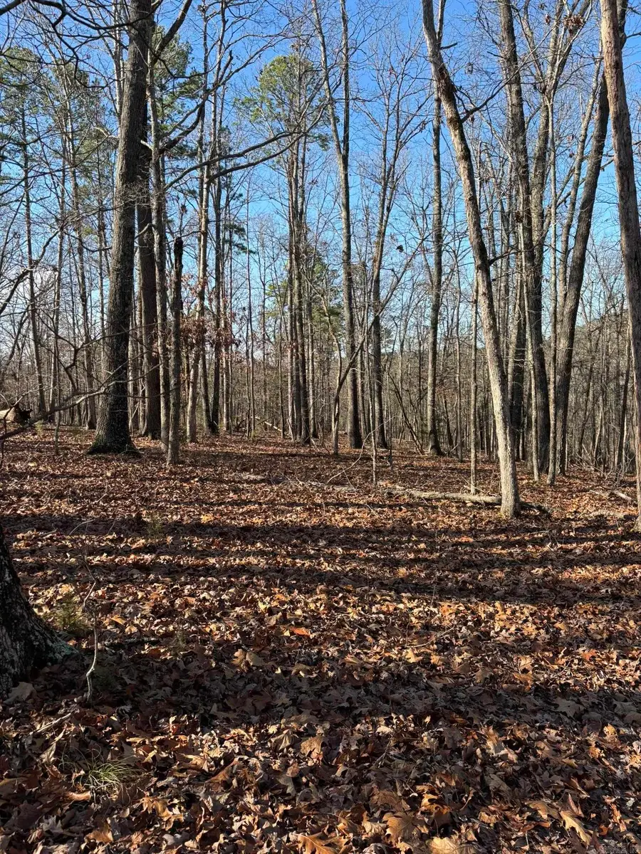 120A Boyce Street, Melbourne, AR 72556 - Image #2