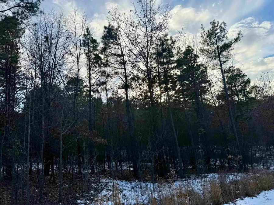 295 Greene 7502 Road, Paragould, AR 72450 - Image #3