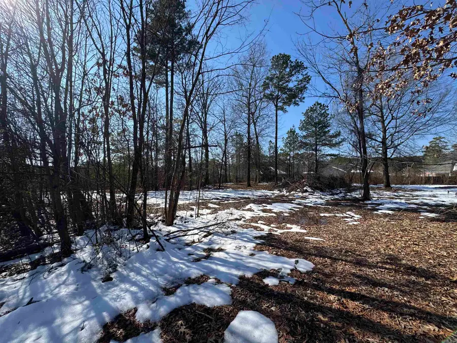 13513 Otter Creek, Little Rock, AR 72210 - Image #2