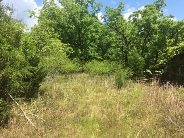 1179 Lofton Road, Calico Rock, AR 72519 - Image #3