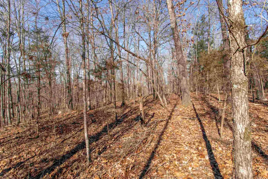 Lot 64 Big Buck Lane, Williford, AR 72482 - Image #3