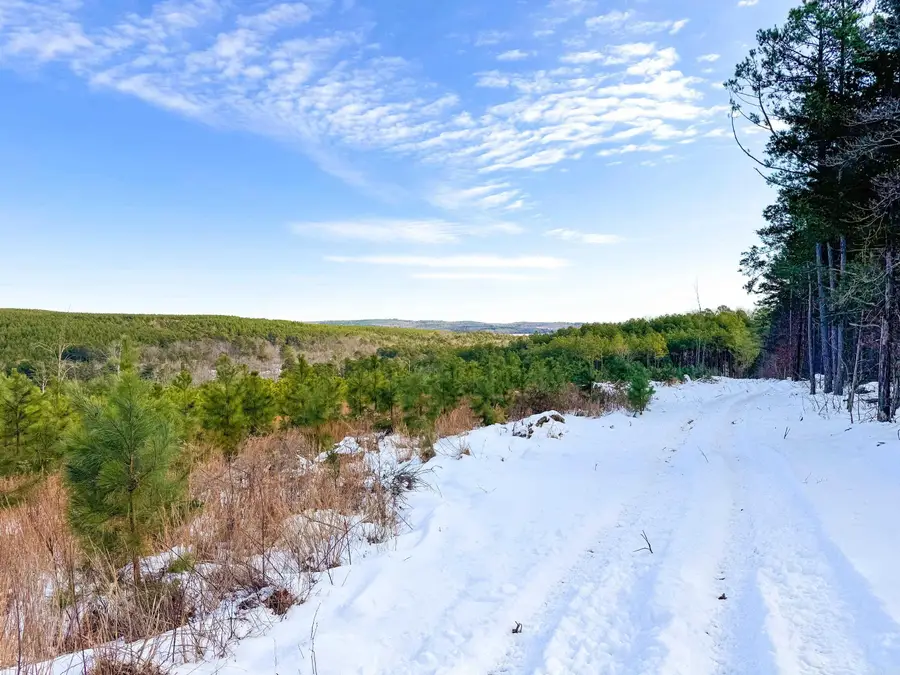 950 Tarter Hill Road, Quitman, AR 72131 - Image #2