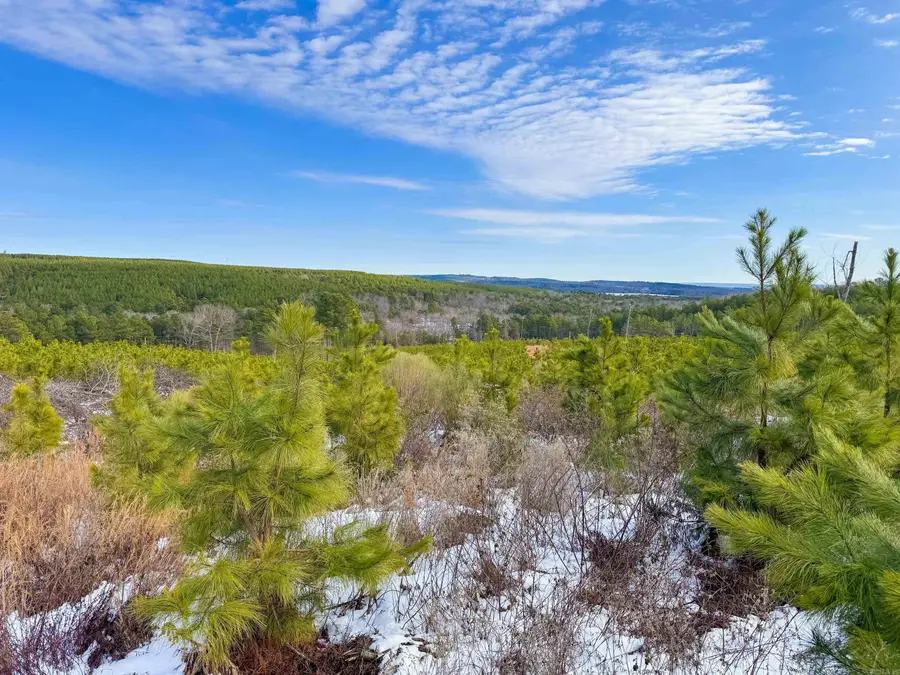 950 Tarter Hill Road, Quitman, AR 72131 - Image #3