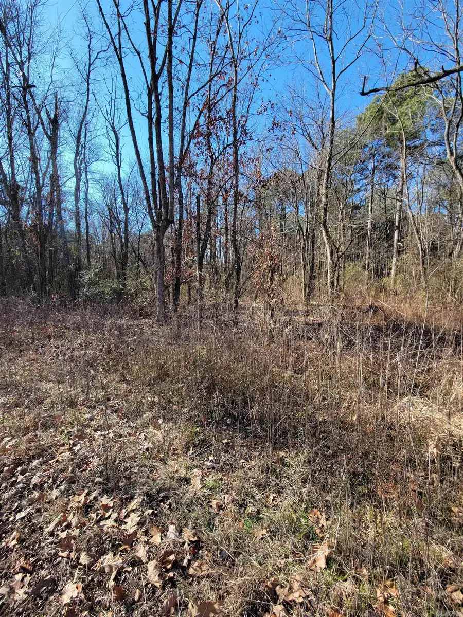 Address Withheld By Seller, Little Rock, AR 72206 - Image #3