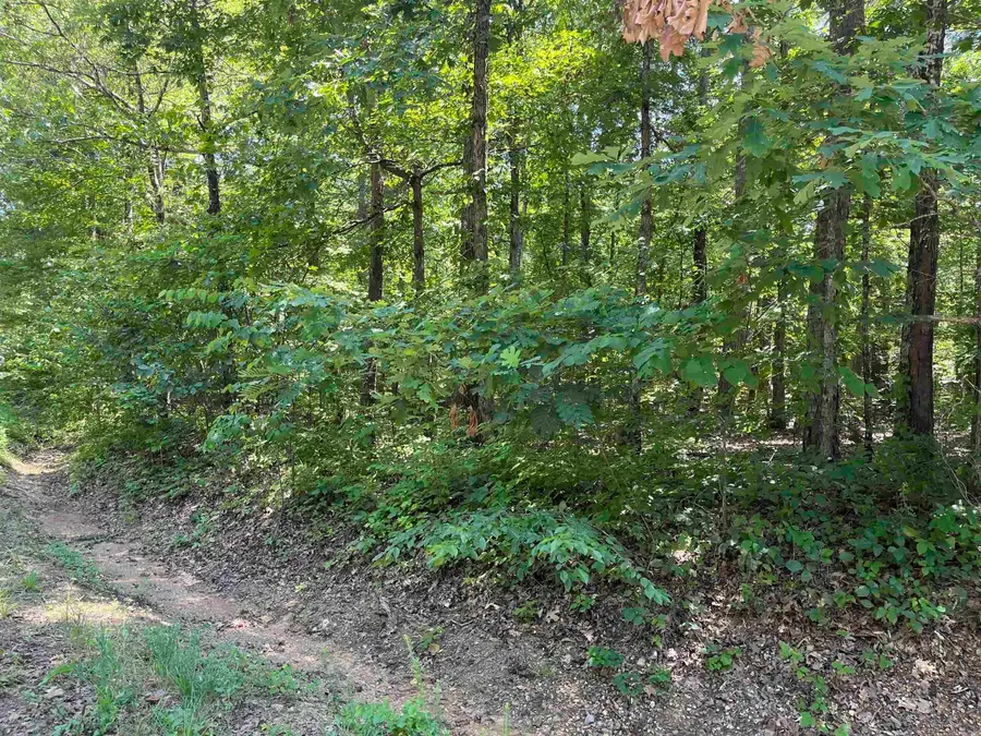 106 Murillo Way, Hot Springs Village, AR 71909 - Image #2