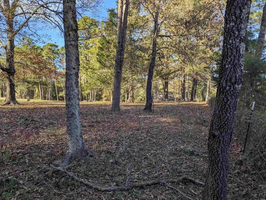 7 Sycamore Drive, Conway, AR 72032 - Image #3