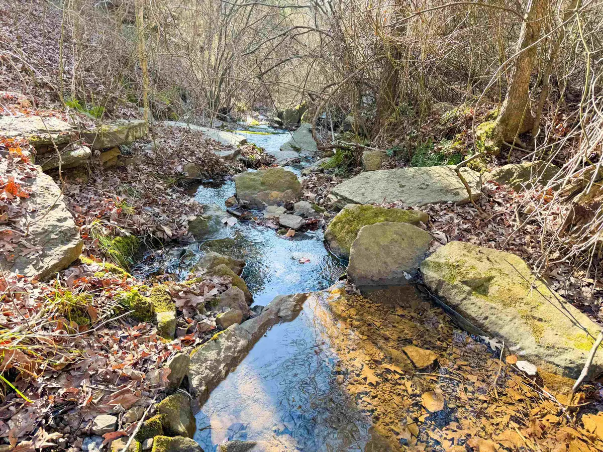 370 Guy Lane, Quitman, AR 72131 - Image #1