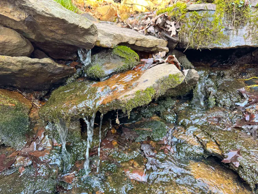 370 Guy Lane, Quitman, AR 72131 - Image #2