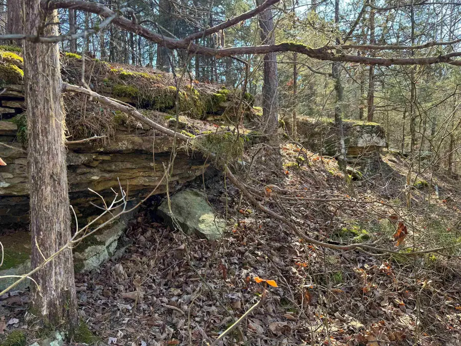 370 Guy Lane, Quitman, AR 72131 - Image #3