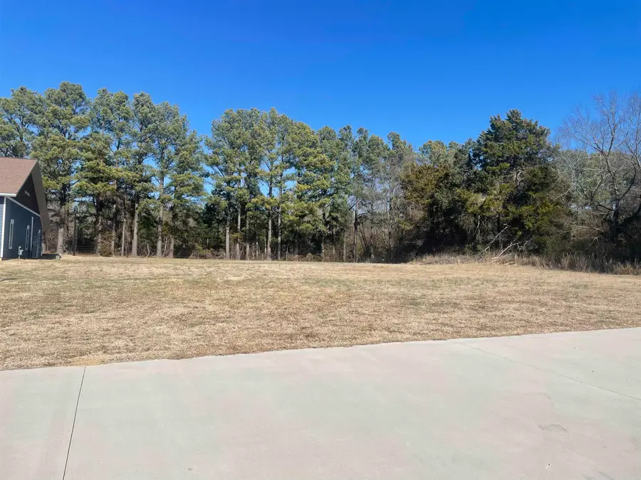 Lot 5 Killian Street, Mountain View, AR 72560 - Image #3