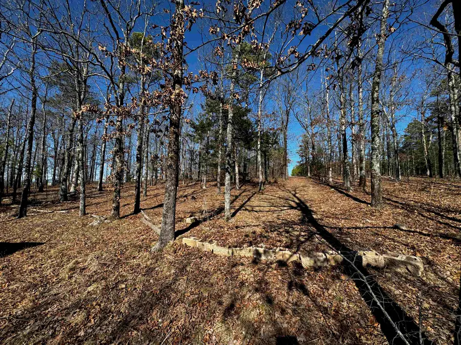 Address Withheld By Seller, Clinton, AR 72031 - Image #2