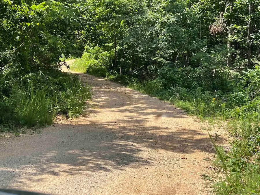 Lot 45 Pr Ridge Haven, Mammoth Spring, AR 72554 - Image #3