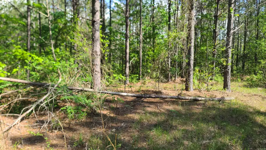 Address Withheld By Seller, Prescott, AR 71857 - Image #3