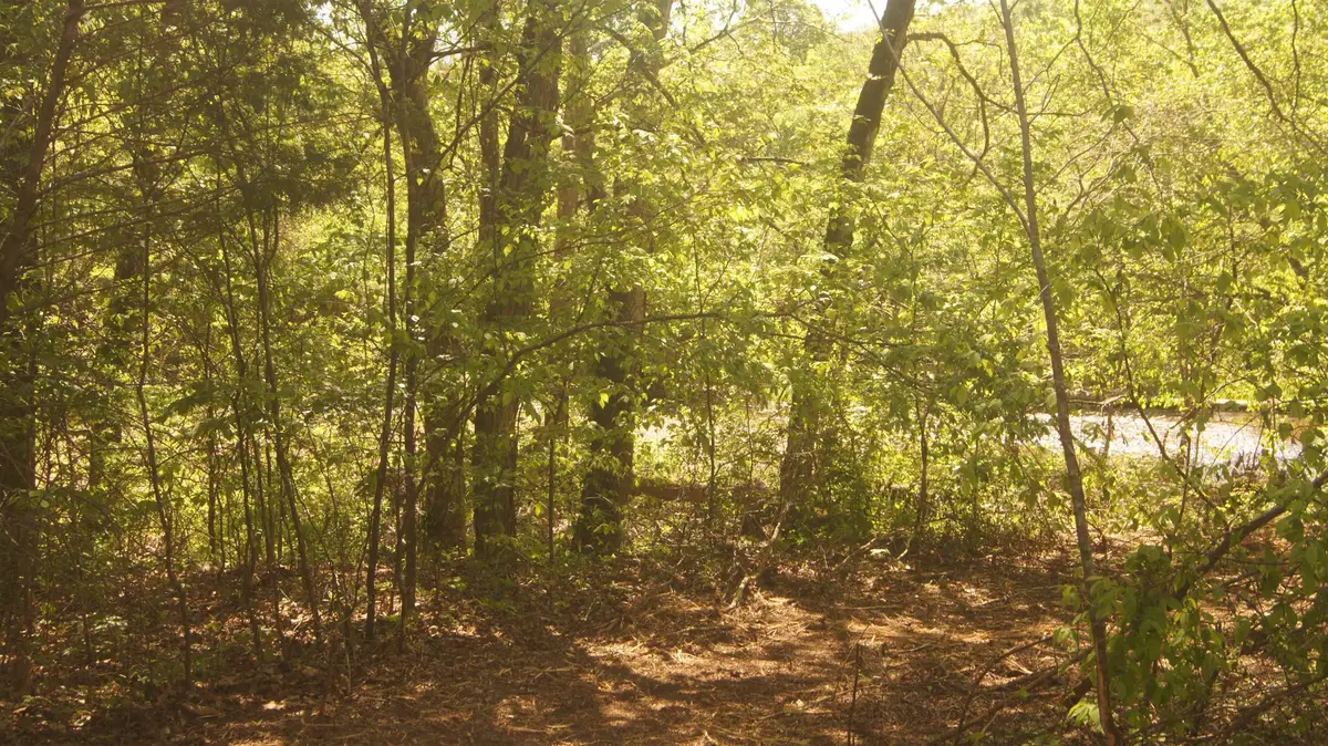Lot 2 Booth Creek Road, Williford, AR 72482 - Image #1