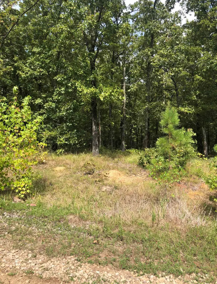 Address Withheld By Seller, Vilonia, AR 72173 - Image #3