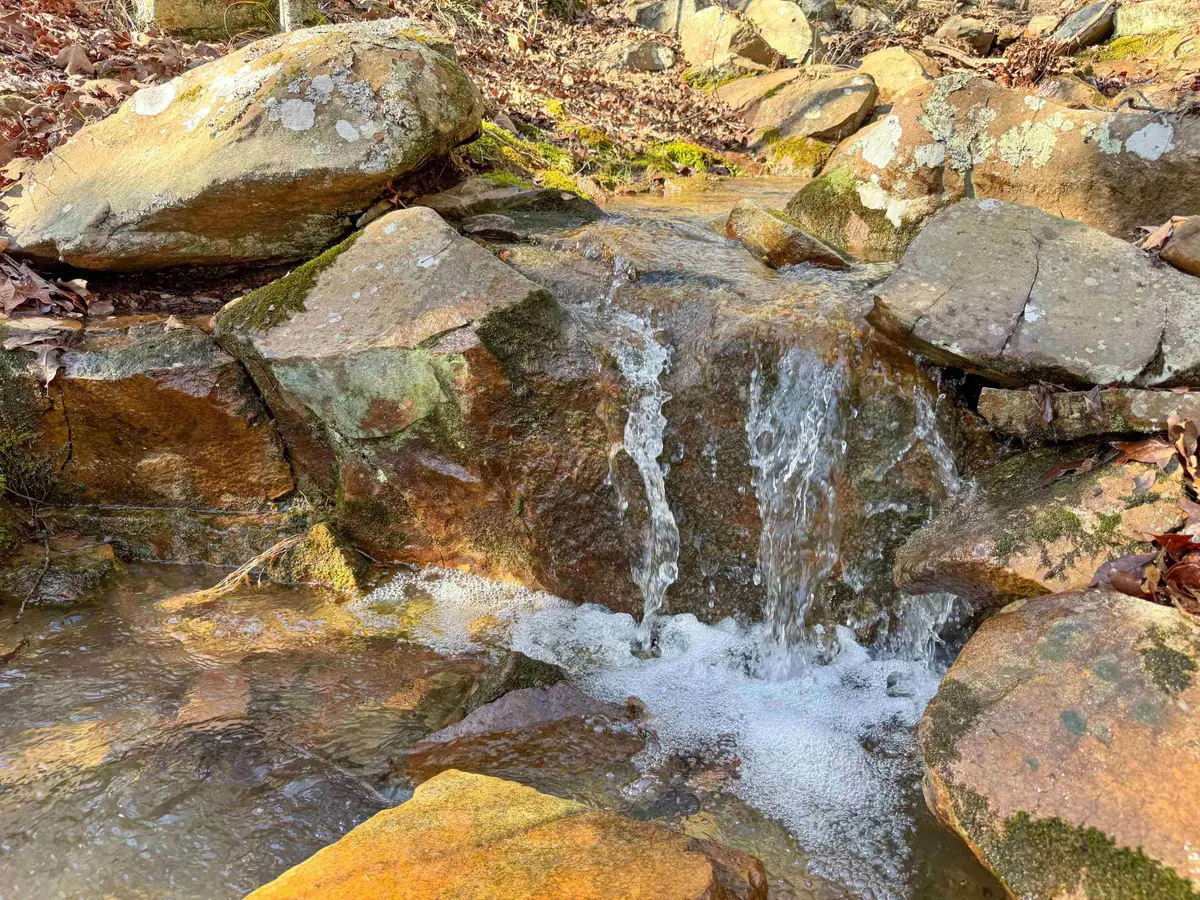 170 Enders Road, Quitman, AR 72131 - Image #1