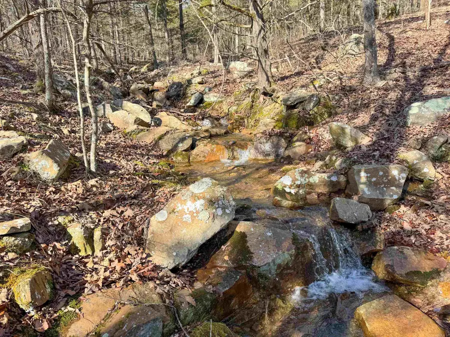 170 Enders Road, Quitman, AR 72131 - Image #3