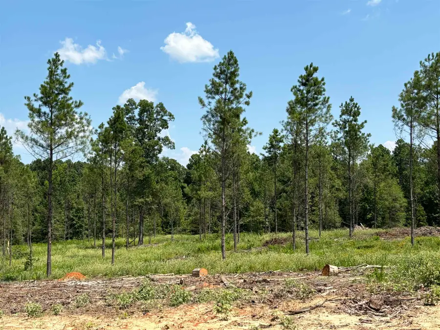 0 Grant 43 (b), Sheridan, AR 72150 - Image #2