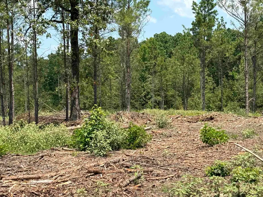 0 Grant 43 (b), Sheridan, AR 72150 - Image #3