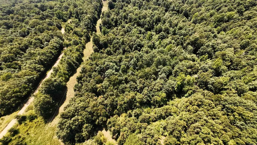 2 Cr 449, Pollard, AR 72456 - Image #3