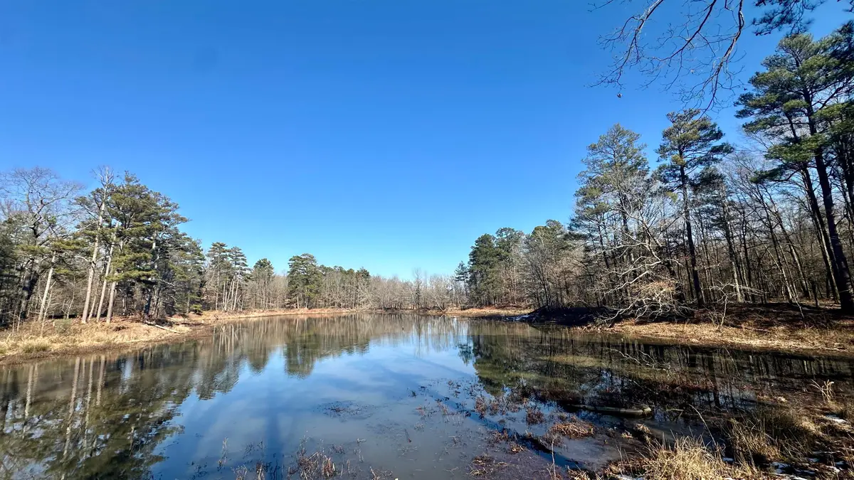 Address Withheld By Seller, Pine Bluff, AR 71601 - Image #1