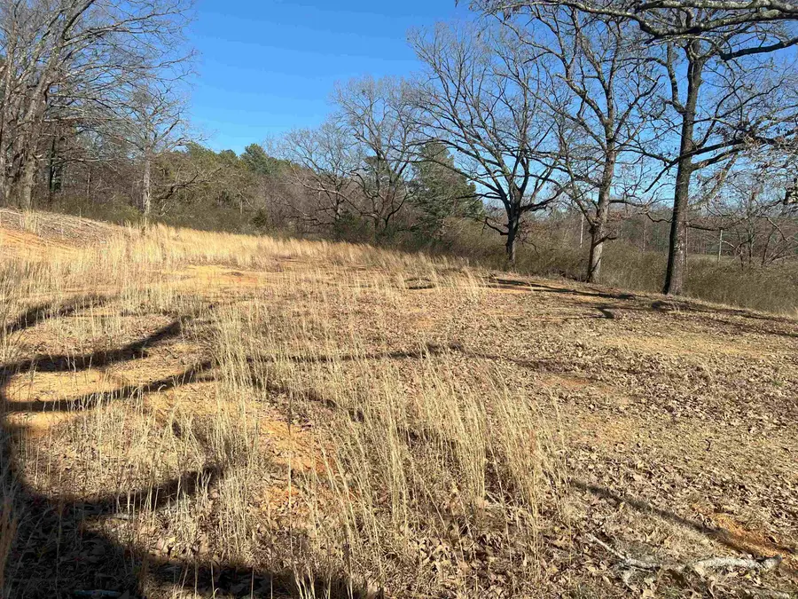 6522 Hwy 71 South, Cove, AR 71937 - Image #2