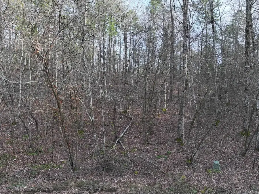 229 Denby Cove, Mount Ida, AR 71957 - Image #2