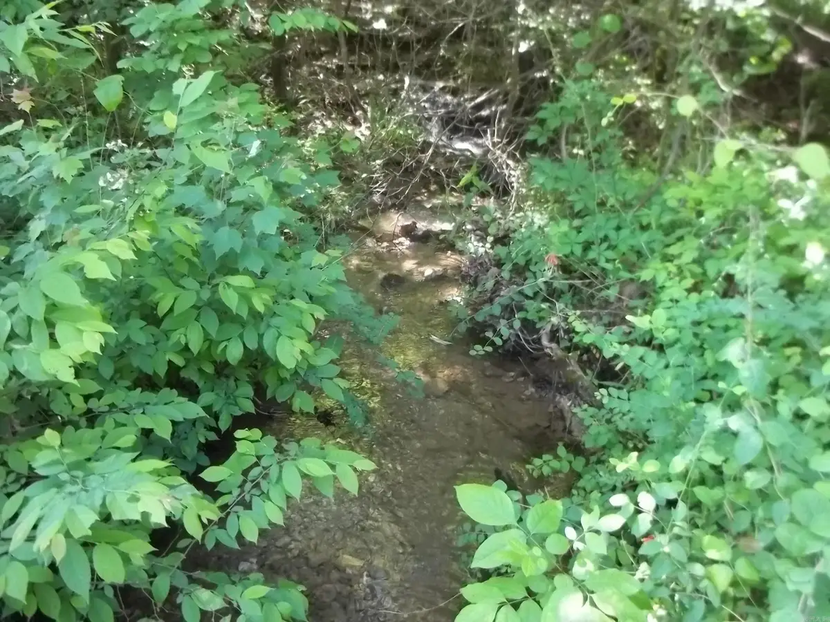 TBD Polk 69, Mena, AR 71953 - Image #1