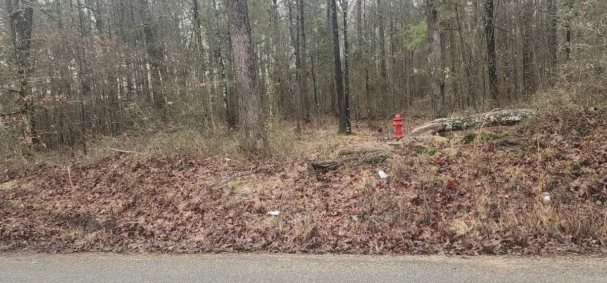 Lot 4 Smith Road, Rison, AR 71665 - Image #1