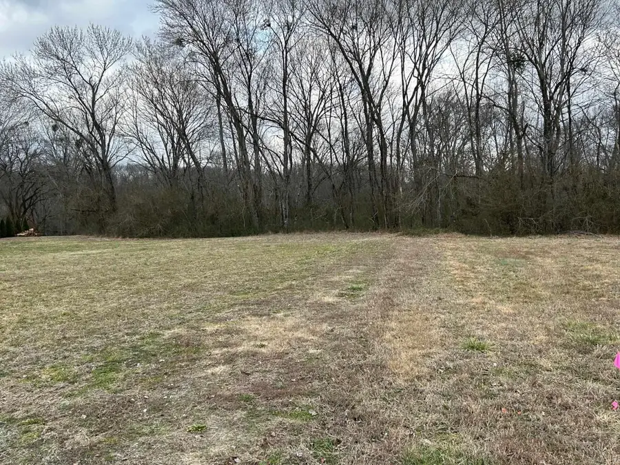 290 Raintree Valley Road, Pangburn, AR 72121 - Image #2