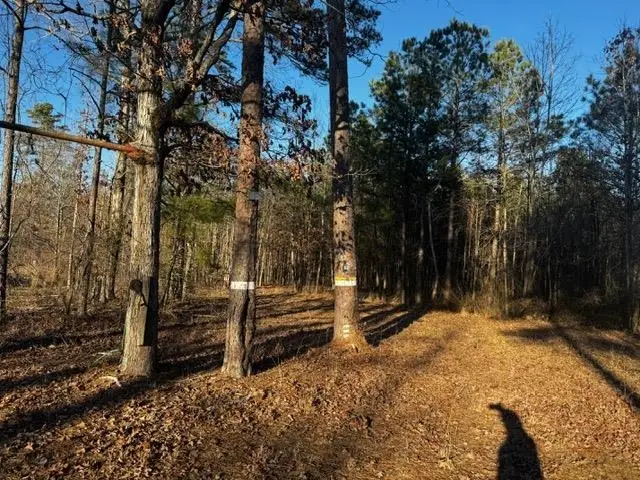 Address Withheld By Seller, Redfield, AR 72132 - Image #3