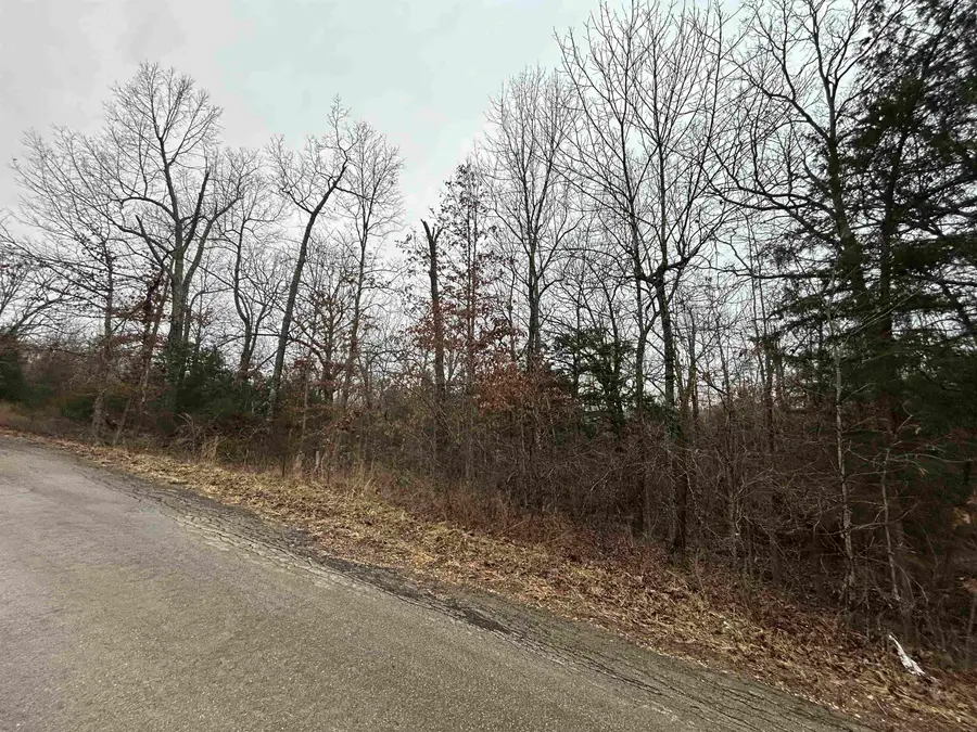 TBD Wacasassa Drive, Cherokee Village, AR 72529 - Image #2