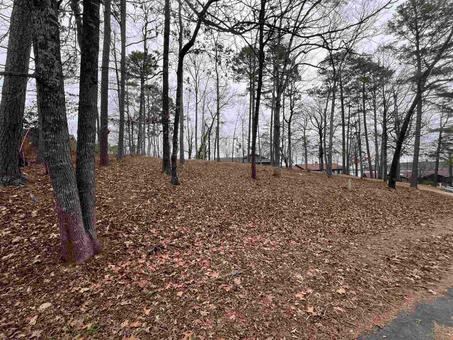 5 Gaza Lane, Hot Springs Village, AR 71909 - Image #2