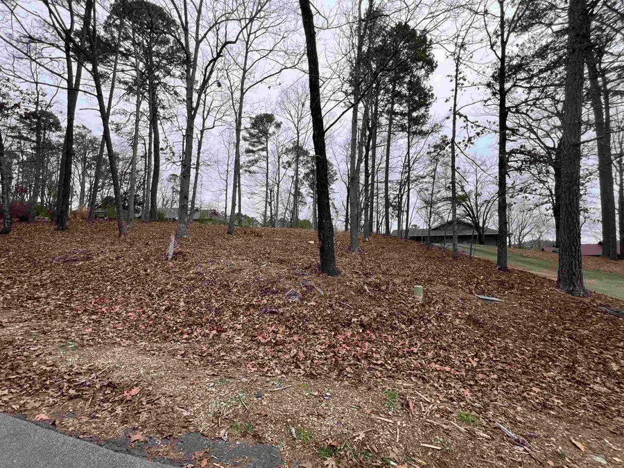 5 Gaza Lane, Hot Springs Village, AR 71909 - Image #3