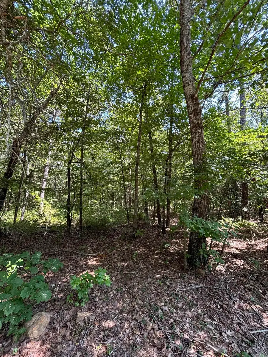 Lot 25 Wood Lane, Clinton, AR 72031 - Image #2