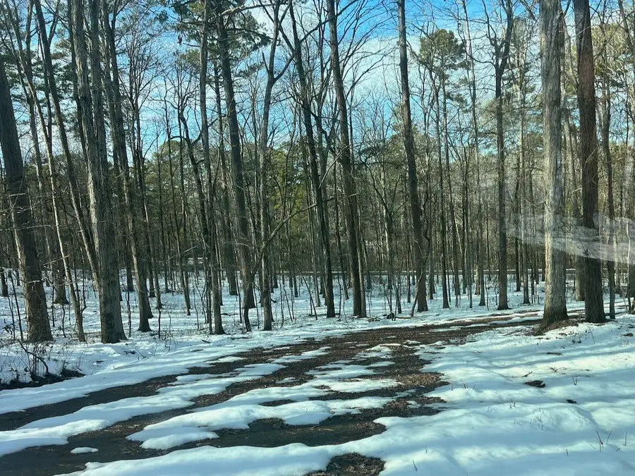 10 Ciervo Lane, Hot Springs Village, AR 71909 - Image #2