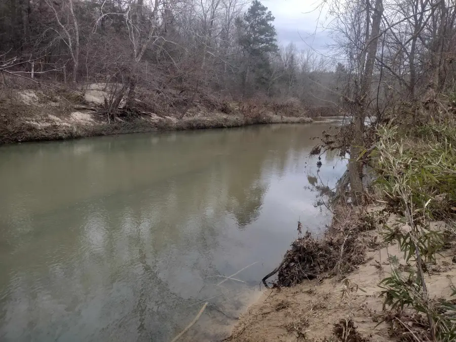 8840 Hwy 56, Calico Rock, AR 72519 - Image #2