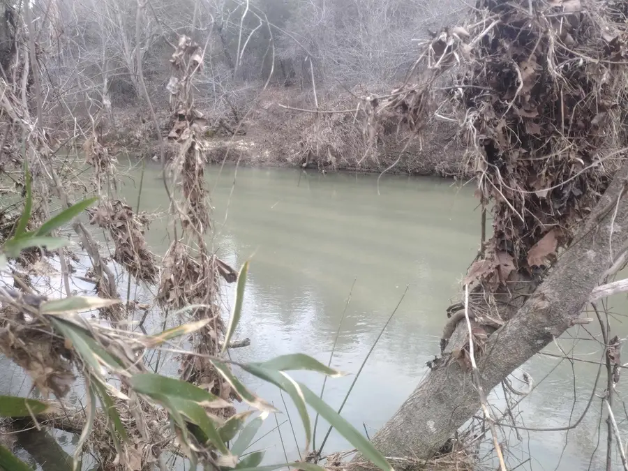 8840 Hwy 56, Calico Rock, AR 72519 - Image #3