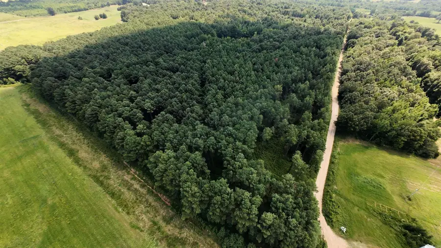 Cr 331 Hwy 62, Pollard Township, AR 72454 - Image #2