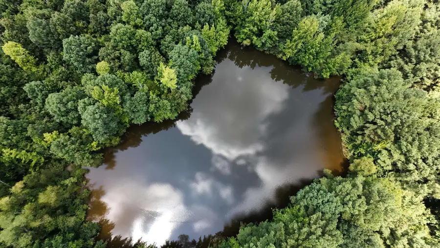 Cr 331 Hwy 62, Pollard Township, AR 72454 - Image #3