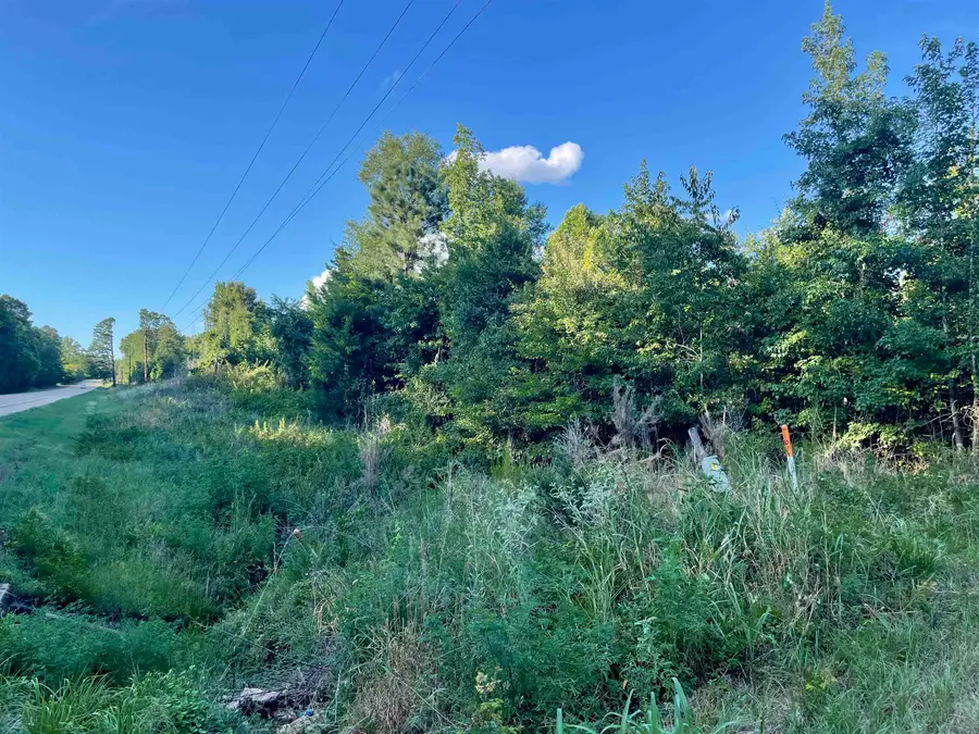 TBD Highway 71, Doddridge, AR 71834 - Image #3