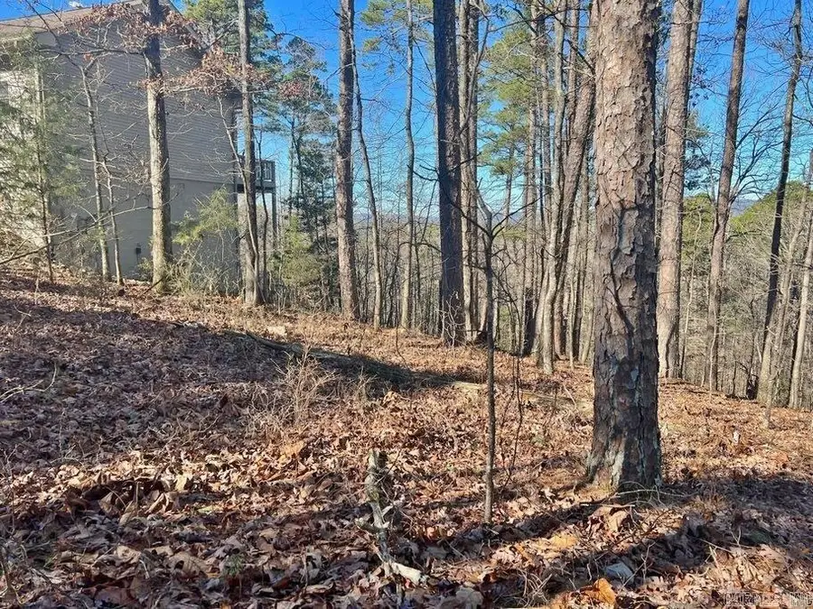 46 Mariposa Way, Hot Springs Village, AR 71909 - Image #2