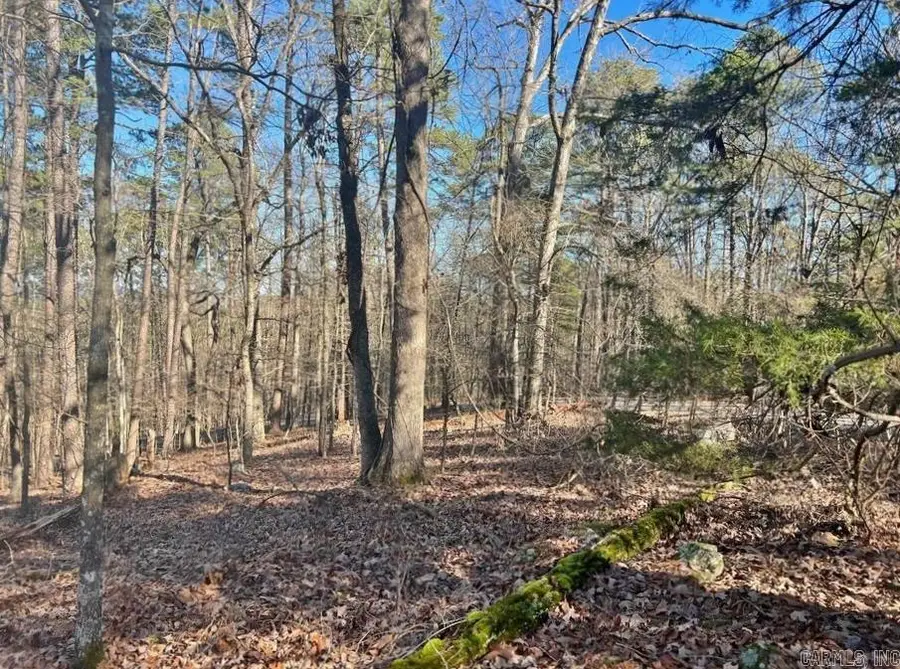 46 Mariposa Way, Hot Springs Village, AR 71909 - Image #3