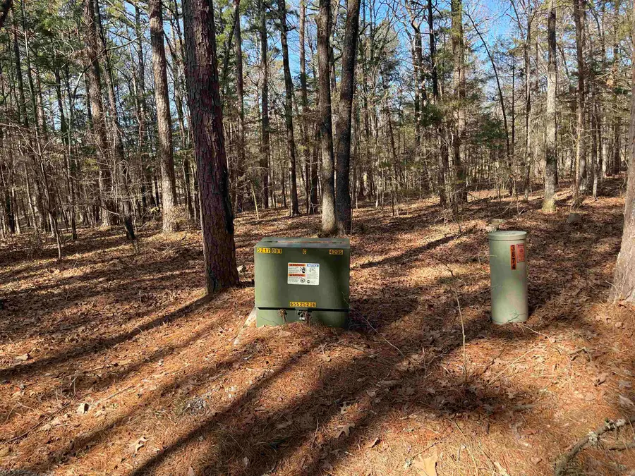 Lot 78 Tannenbaum Rd., Drasco, AR 72530 - Image #2